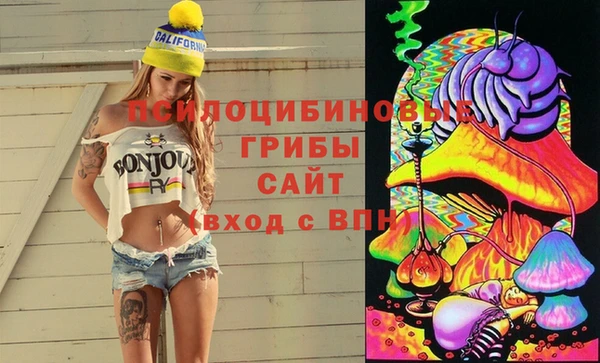 марки lsd Белокуриха