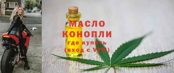 сатива Беломорск