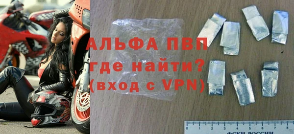 сатива Беломорск
