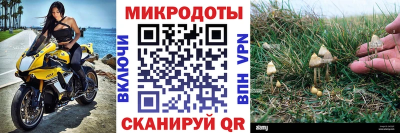Псилоцибиновые грибы Cubensis где найти наркотики Шатура